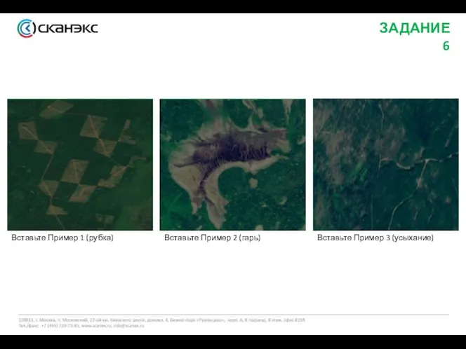 ЗАДАНИЕ 6 Вставьте Пример 1 (рубка) Вставьте Пример 2 (гарь) Вставьте Пример 3 (усыхание)