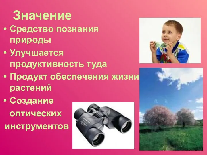 Значение Средство познания природы Улучшается продуктивность туда Продукт обеспечения жизни растений Создание оптических инструментов