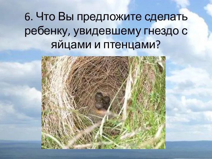 6. Что Вы предложите сделать ребенку, увидевшему гнездо с яйцами и птенцами?