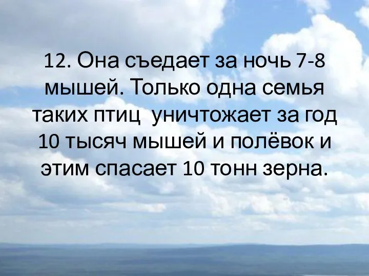 12. Она съедает за ночь 7-8 мышей. Только одна семья таких птиц