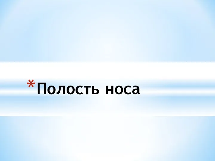 Полость носа