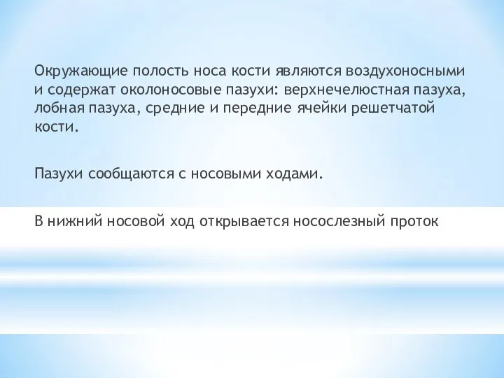 Окружающие полость носа кости являются воздухоносными и содержат околоносовые пазухи: верхнечелюстная пазуха,