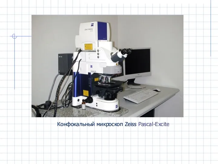 Конфокальный микроскоп Zeiss Pascal-Excite