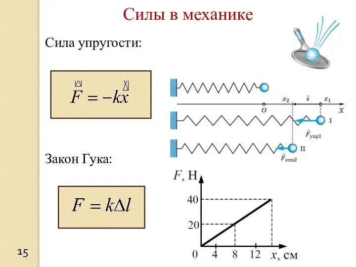 Силы в механике Сила упругости: Закон Гука: 15