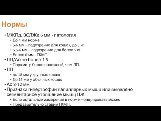 Нормы МЖПд, ЗСЛЖд 6 мм - патология До 4 мм норме 5-6