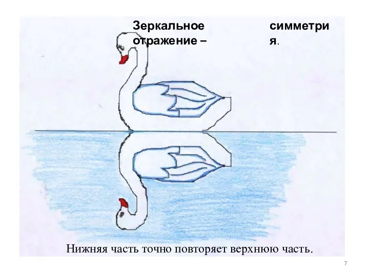 Зеркальное отражение – симметрия. Нижняя часть точно повторяет верхнюю часть.