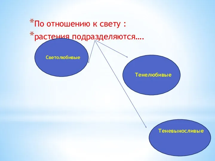 По отношению к свету : растения подразделяются…. Светолюбивые Тенелюбивые Теневыносливые