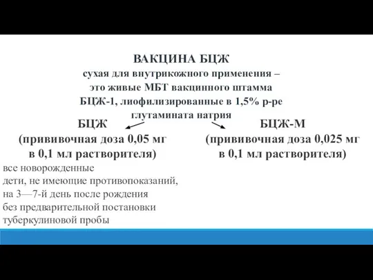 ВАКЦИНА БЦЖ сухая для внутрикожного применения – это живые МБТ вакцинного штамма