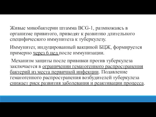 Живые микобактерии штамма BCG-1, размножаясь в организме привитого, приводят к развитию длительного