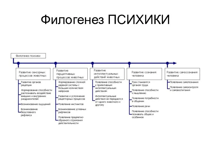 Филогенез ПСИХИКИ