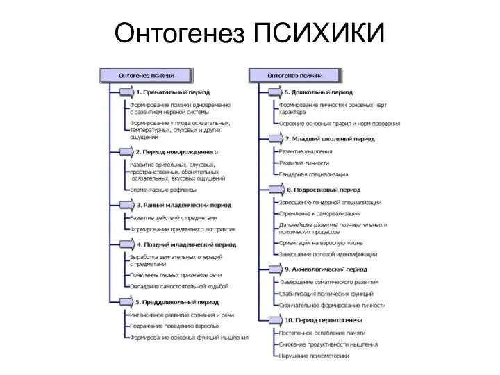 Онтогенез ПСИХИКИ