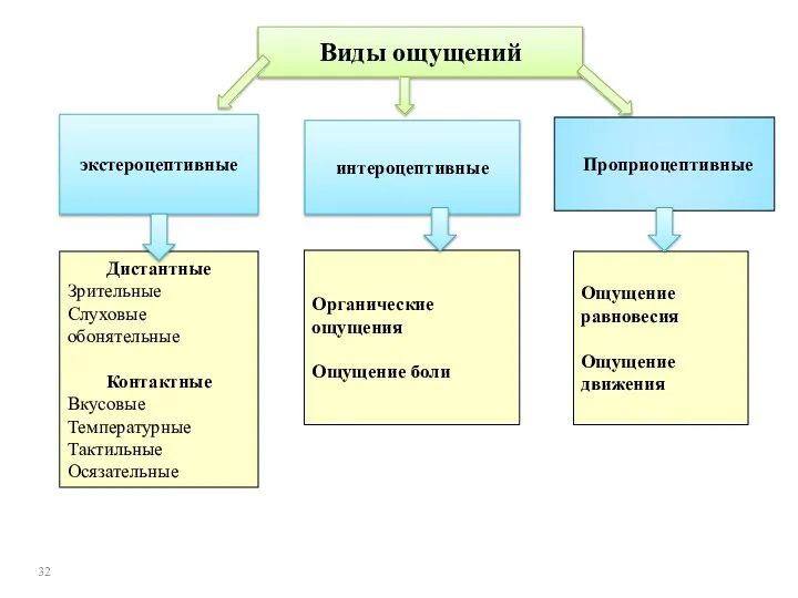 Виды ощущений экстероцептивные интероцептивные Проприоцептивные Дистантные Зрительные Слуховые обонятельные Контактные Вкусовые Температурные