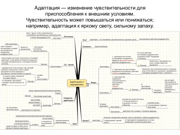 Адаптация — изменение чувствительности для приспособления к внешним условиям. Чувствительность может повышаться