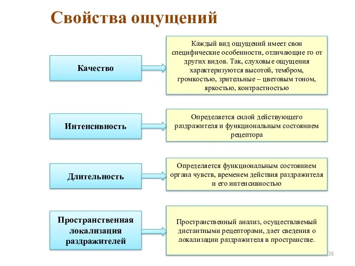 Свойства ощущений Каждый вид ощущений имеет свои специфические особенности, отличающие го от