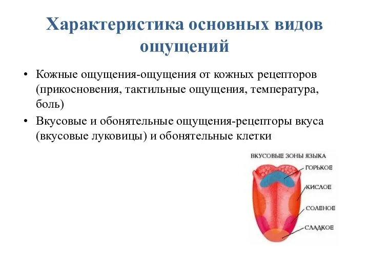 Характеристика основных видов ощущений Кожные ощущения-ощущения от кожных рецепторов (прикосновения, тактильные ощущения,