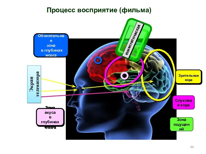 Процесс восприятие (фильма)