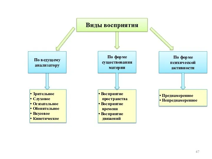 Виды восприятия По форме психической активности По форме существования материи Преднамеренное Непреднамеренное