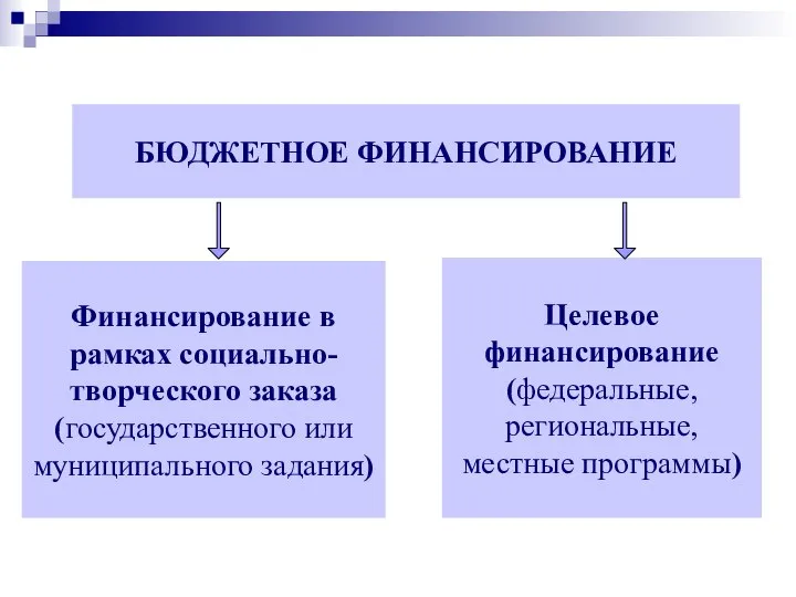 БЮДЖЕТНОЕ ФИНАНСИРОВАНИЕ Финансирование в рамках социально-творческого заказа (государственного или муниципального задания) Целевое