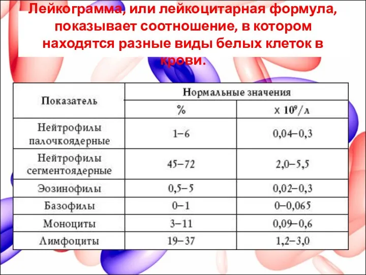 Лейкограмма, или лейкоцитарная формула, показывает соотношение, в котором находятся разные виды белых клеток в крови.