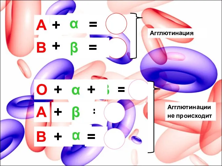 А В α β + = + = О β + α