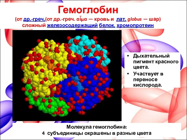 Гемоглобин (от др.-греч.(от др.-греч. αἷμα — кровь и лат. globus — шар)