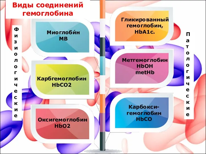 Физиоло гические Патоло гические Карбгемоглобин HbCO2 Виды соединений гемоглобина Гликированный гемоглобин, НbА1c.