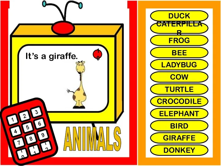 ANIMALS It’s a giraffe. 1 2 3 4 5 6 7 8