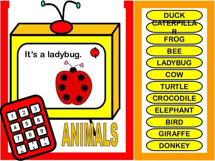 ANIMALS It’s a ladybug. 1 2 3 4 5 6 7 8