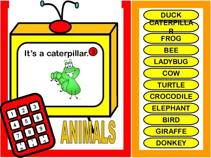 ANIMALS It’s a caterpillar. 1 2 3 4 5 6 7 8