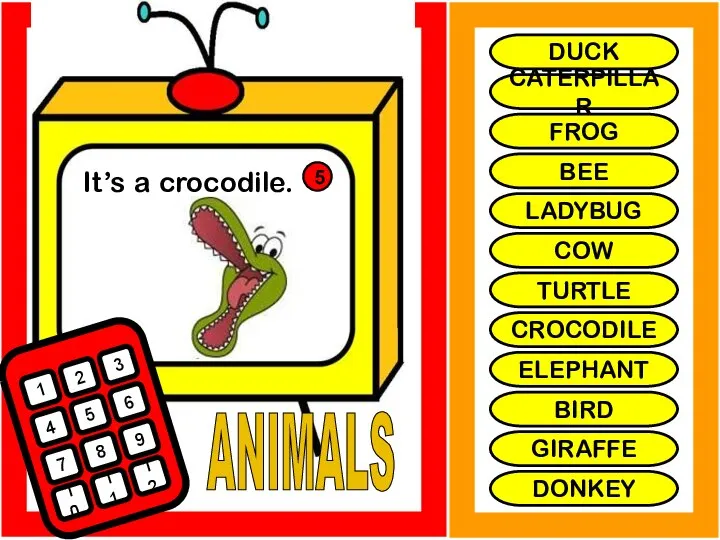 ANIMALS It’s a crocodile. 1 2 3 4 5 6 7 8