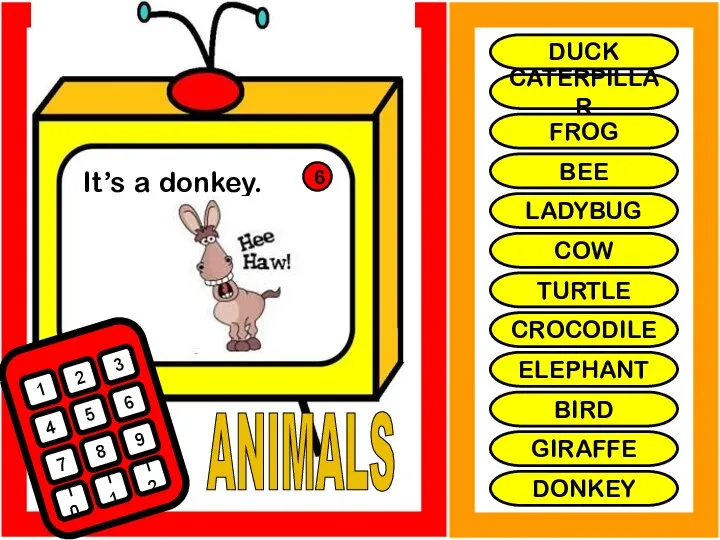 ANIMALS It’s a donkey. 1 2 3 4 5 6 7 8