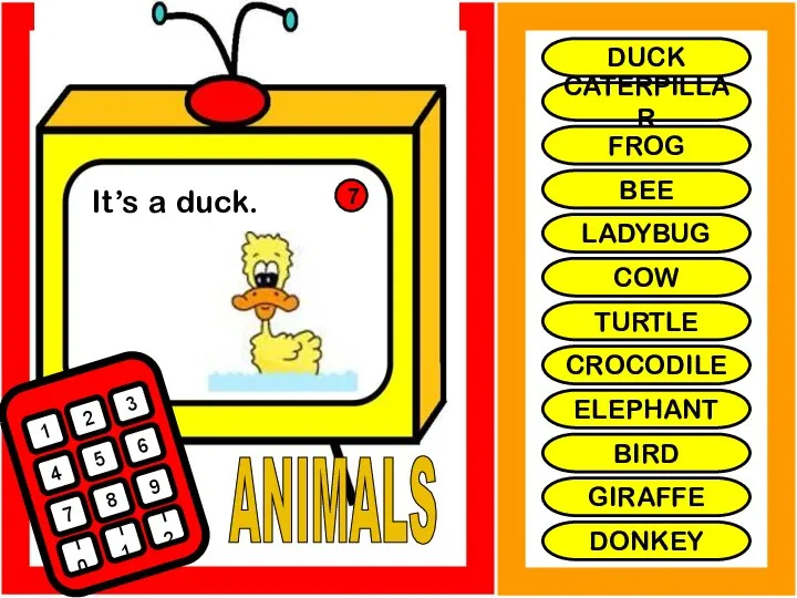 ANIMALS It’s a duck. 1 2 3 4 5 6 7 8
