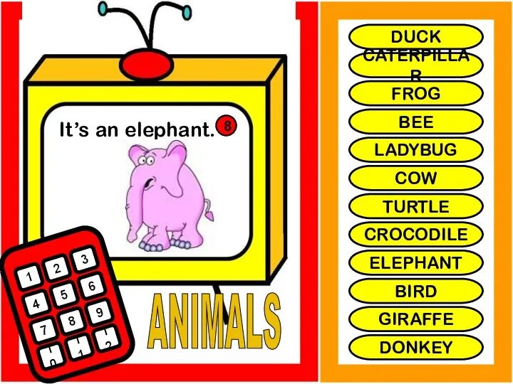 ANIMALS It’s an elephant. 1 2 3 4 5 6 7 8