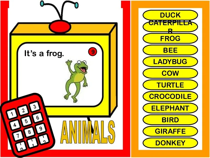 ANIMALS It’s a frog. 1 2 3 4 5 6 7 8
