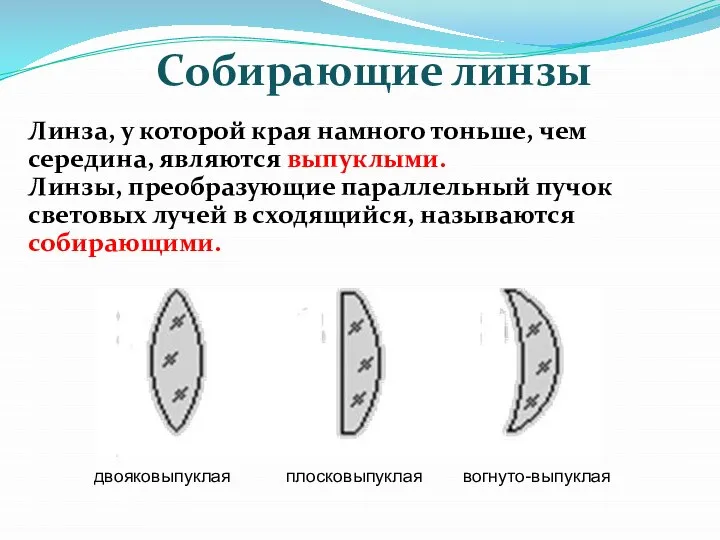 Собирающие линзы Линза, у которой края намного тоньше, чем середина, являются выпуклыми.