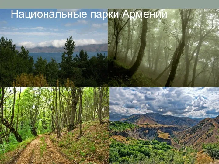 Национальные парки Армении