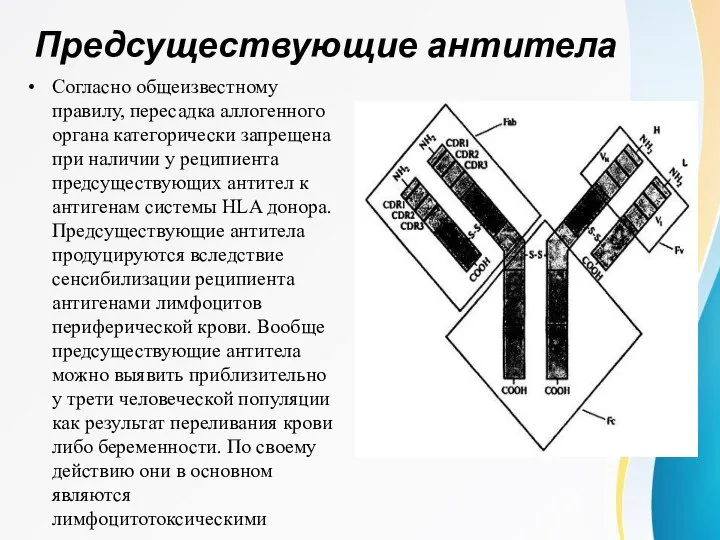 Согласно общеизвестному правилу, пересадка аллогенного органа категорически запрещена при наличии у реципиента