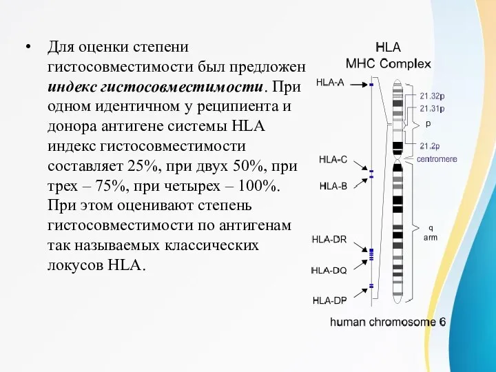 Для оценки степени гистосовместимости был предложен индекс гистосовместимости. При одном идентичном у