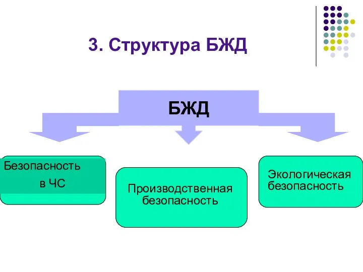 3. Структура БЖД