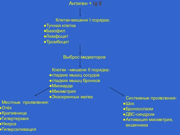 Антиген + Ig E Клетки-мишени I порядка: Тучная клетка Базофил Лимфоцит Тромбоцит