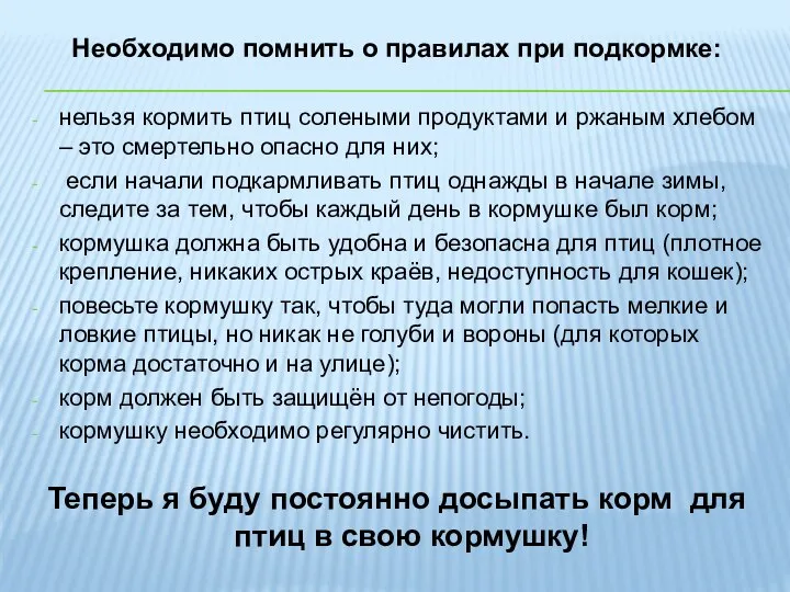 Необходимо помнить о правилах при подкормке: нельзя кормить птиц солеными продуктами и