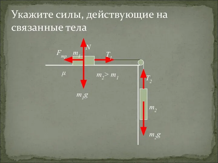 Укажите силы, действующие на связанные тела m2> m1 μ m2 m1 m2g