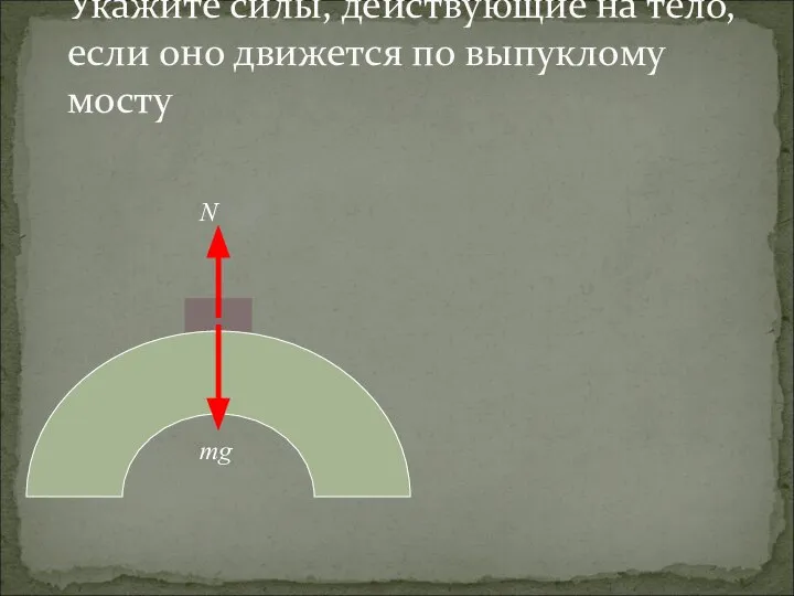 Укажите силы, действующие на тело, если оно движется по выпуклому мосту mg N