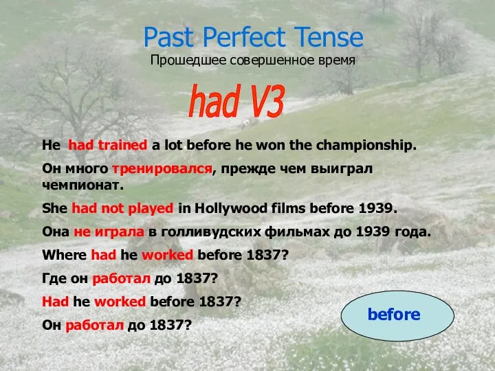 Past Perfect Tense Прошедшее совершенное время had V3 He had trained a