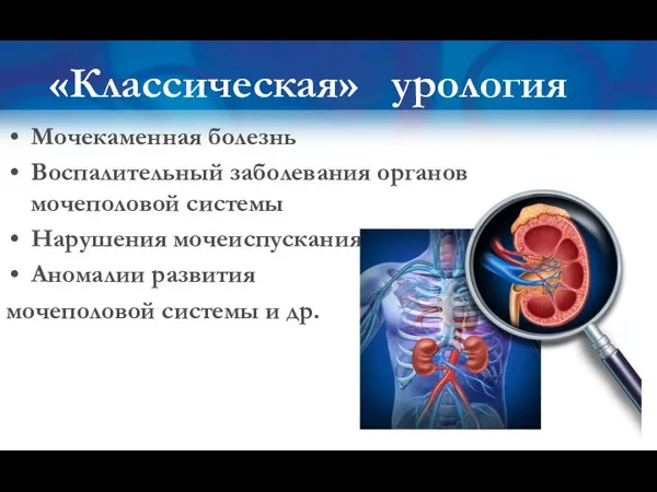 Мочекаменная болезнь Воспалительный заболевания органов мочеполовой системы Нарушения мочеиспускания Аномалии развития мочеполовой