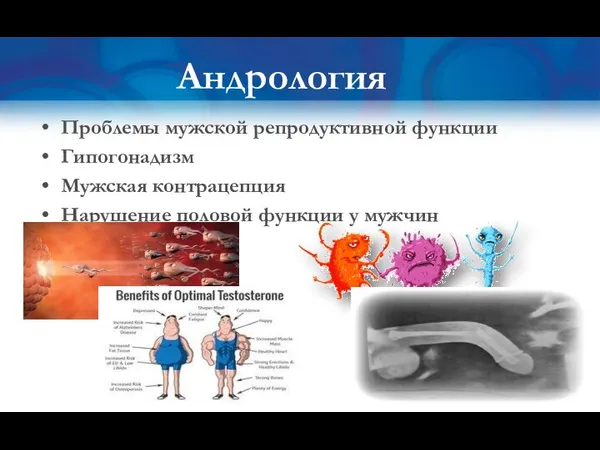 Проблемы мужской репродуктивной функции Гипогонадизм Мужская контрацепция Нарушение половой функции у мужчин Андрология