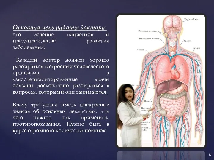 Основная цель работы доктора – это лечение пациентов и предупреждение развития заболевания.