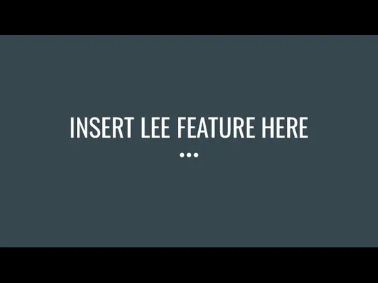 INSERT LEE FEATURE HERE