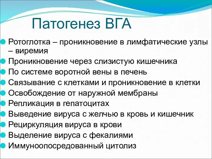 Патогенез ВГА Ротоглотка – проникновение в лимфатические узлы – виремия Проникновение через