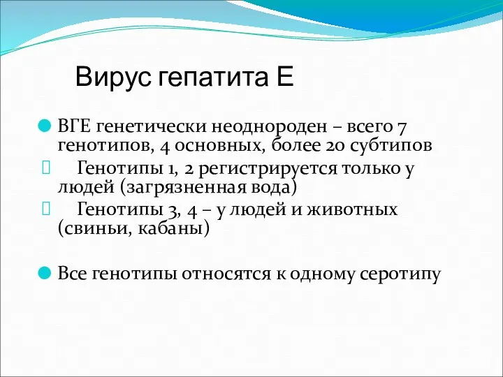 Вирус гепатита Е ВГЕ генетически неоднороден – всего 7 генотипов, 4 основных,